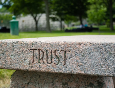 Shaping the Future with Proxima Tech